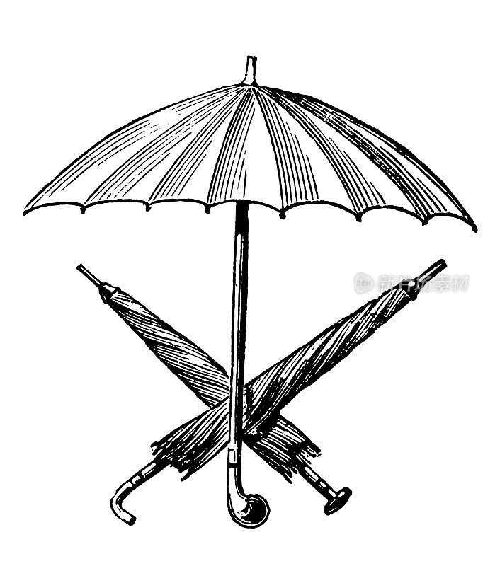 雨伞|古董设计插图